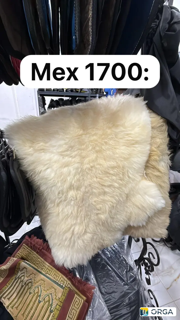 Товары для лошадей