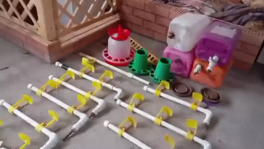 Поилки для птиц