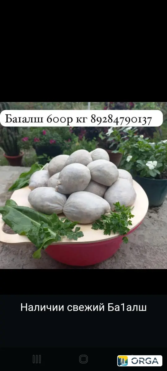 Колбасные изделия