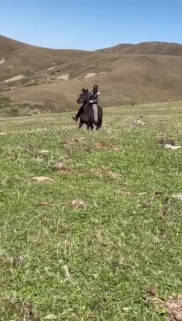 Продаётся мерин, рост 155, порода Къ, возраст 9 лет