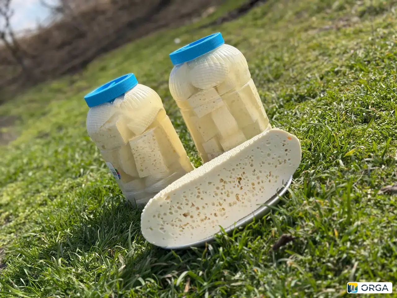 домашний сыр