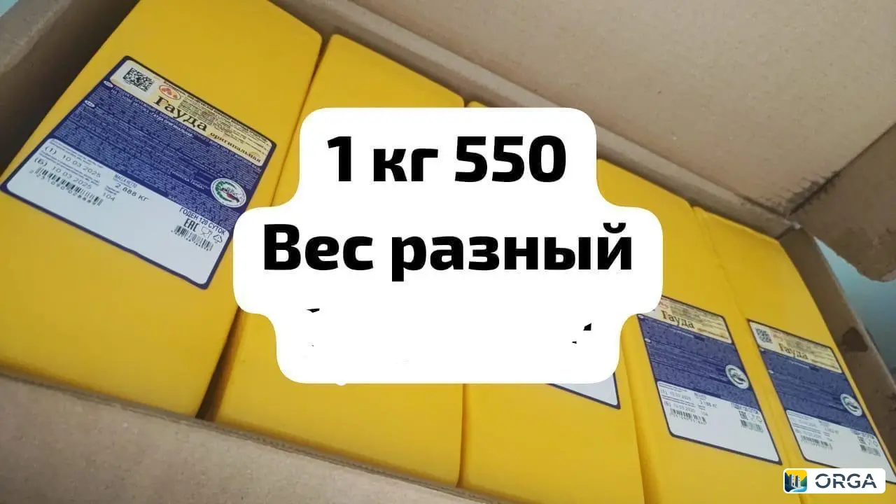 Голландский сыр