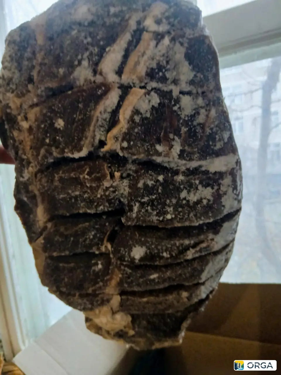 Коммерческая недвижимость