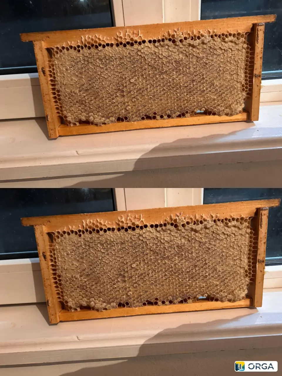 Горный мёд, 17 штук