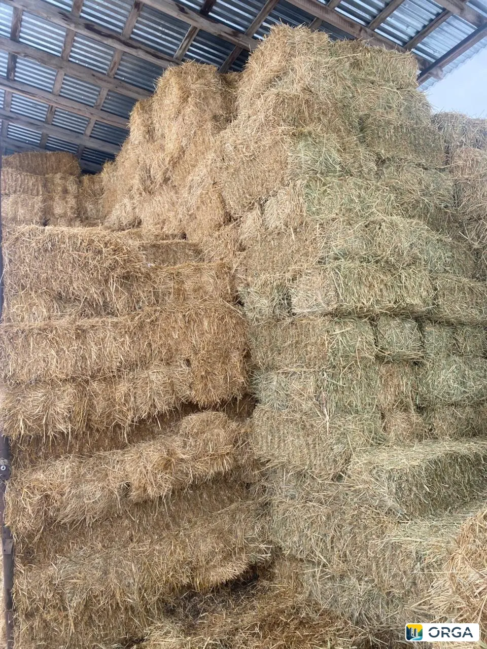 солома ячменный пшени