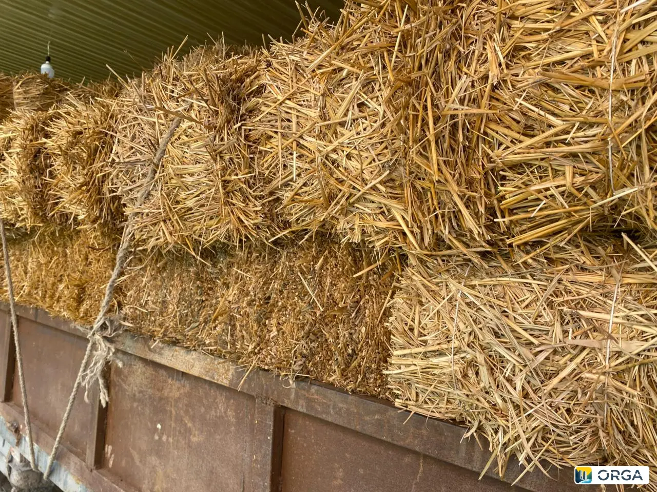 солома ячменный пшени
