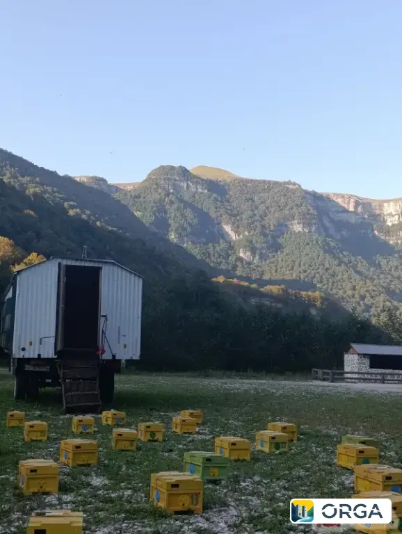 Эггара дикагӀа дола модз