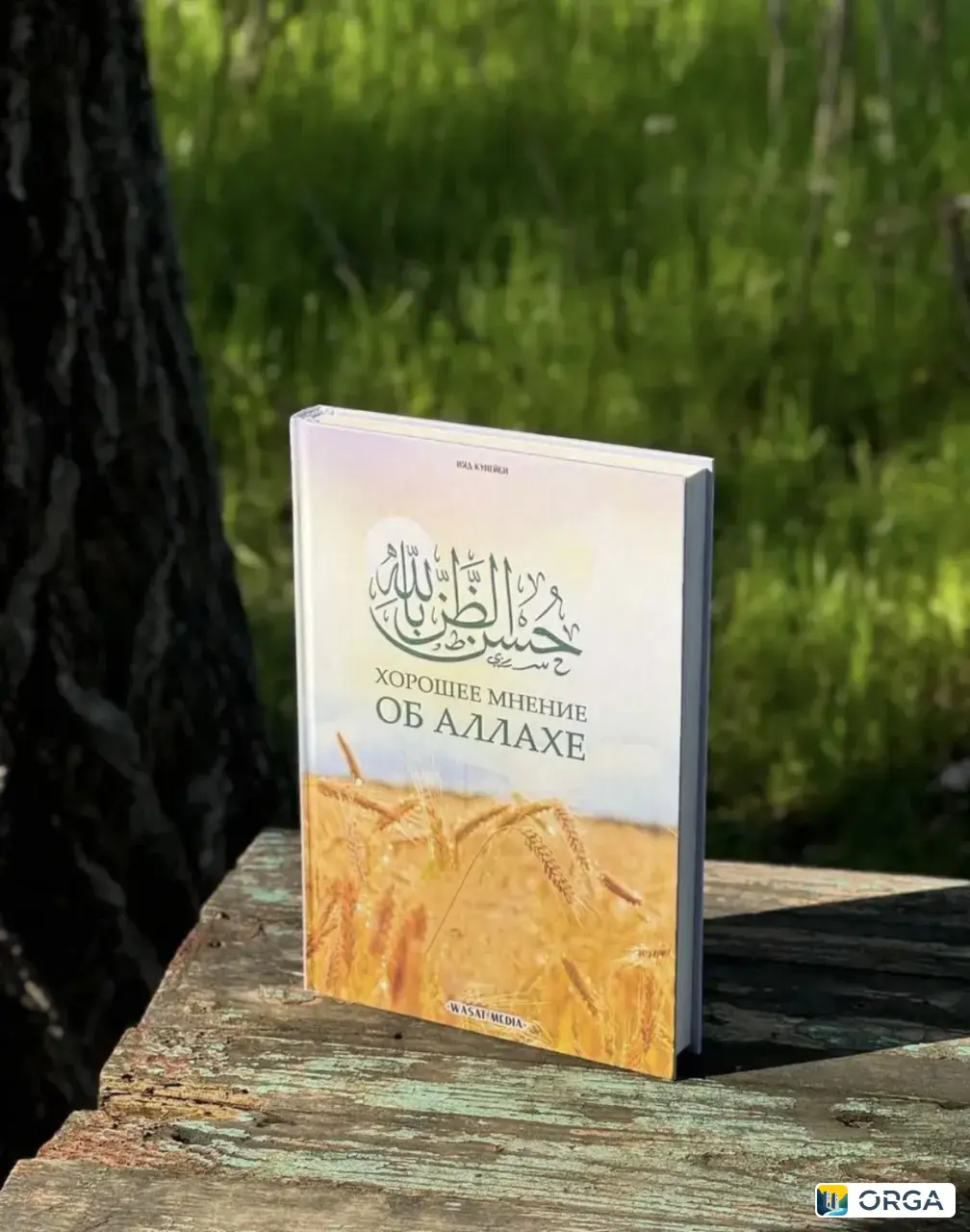 Исламские Книги